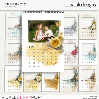 2021 Calendar Quick Pages