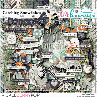 Catching Snowflakes Kit by JB Studio