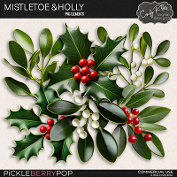 Mistletoe & Holly by Cindy Ritter [CU] 