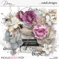 Dream Overlays