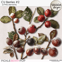 CU berries #2 by Sekada Designs