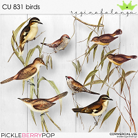 CU 831 BIRDS