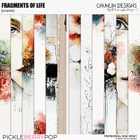 Fragments of Life - papers