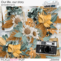 Our life, our story (embellishments) by Simplette