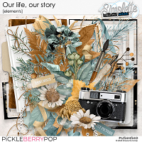 Our life, our story (elements) by Simplette