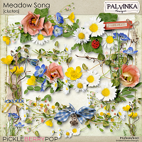 Meadow Song Clusters