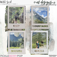 Wild Soul Clipping Masks & Frames by et designs