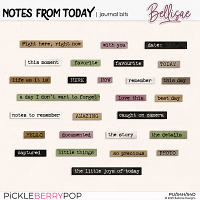 NOTES FROM TODAY | journal bits by Bellisae