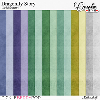 Dragonfly Story-Solid paper