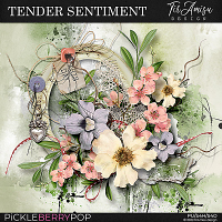 Tender Sentiment Basic Kit by TirAmisu design