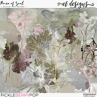 Peace of Soul Playing with Brushes by et designs