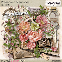 Preserved Memories Elements