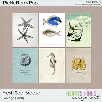 Fresh Sea Breeze Vintage Cards