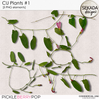 CU plants by Sekada Designs