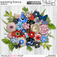 Magic Moments: Exploring France Frippery