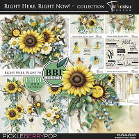 Right Here, Right Now! Bundle by TirAmisu design