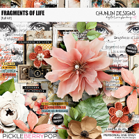 Fragments of Life - full kit