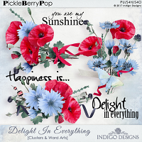 Delight In Everything Clusters And Word Art by Indigo Designs 