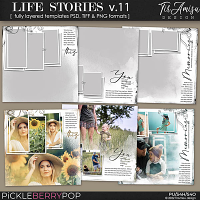 Life Stories  Templates vol.11