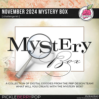 November 2024 Mystery Box 