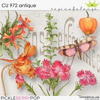 CU 972 ANTIQUE