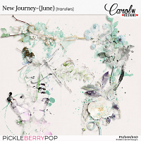 New Journey-{June}-transfers