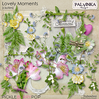 Lovely Moments Clusters