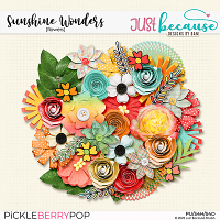 Sunshine Wonders Flowers by JB Studio