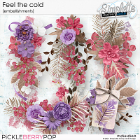 Feel the Cold (embellishments) by Simplette