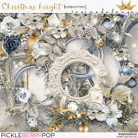 CHRISTMAS BRIGHT COMPOSITIONS