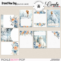 Brand New Day Collab-Journal Cards