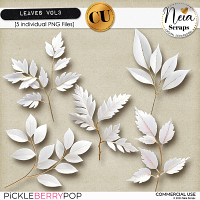 Leaves VOL3 - CU - by Neia Scraps