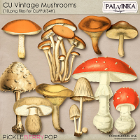 CU Vintage Mushrooms