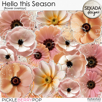 Hello this Season [flower overlays] by Sekada Designs