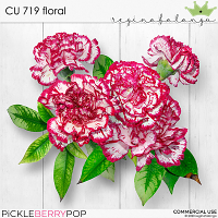 CU 719 FLORAL