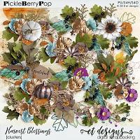 Harvest Blessings Clusters