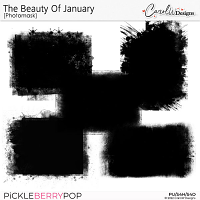 The Beauty Of January-Photomask