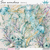 SEA WONDERS CLUSTERS