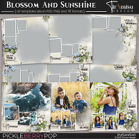 Blossom And Sunshine ~ Art Templates Album by TirAmisu design 