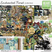 Enchanted Forest Collection