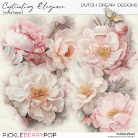 Captivating Elegance - Overlays