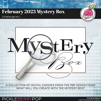 February 2023 Mystery Box