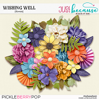 Wishing Well Flowers by JB Studio