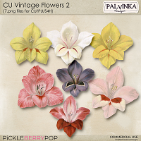 CU Vintage Flowers 2