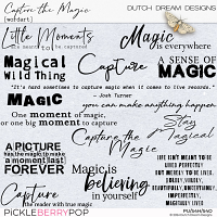 Capture the Magic - Wordart