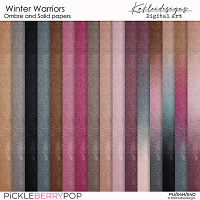 Winter Warriors Ombre and Solid Papers