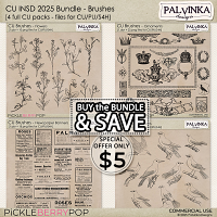 CU Bundle iNSD 2025 - Brushes