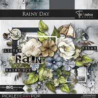 Rainy Day