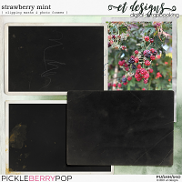 Strawberry Mint Clipping Masks & Photo Frames