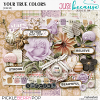 Your True Colors Mini Kit by JB Studio